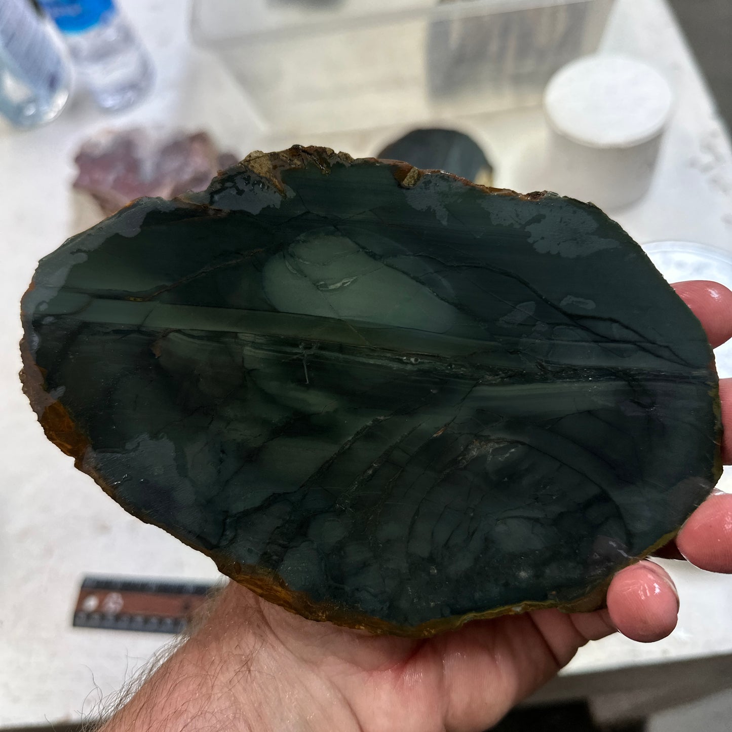 BLUE MOUNTAIN JASPER Slab - 224 grams