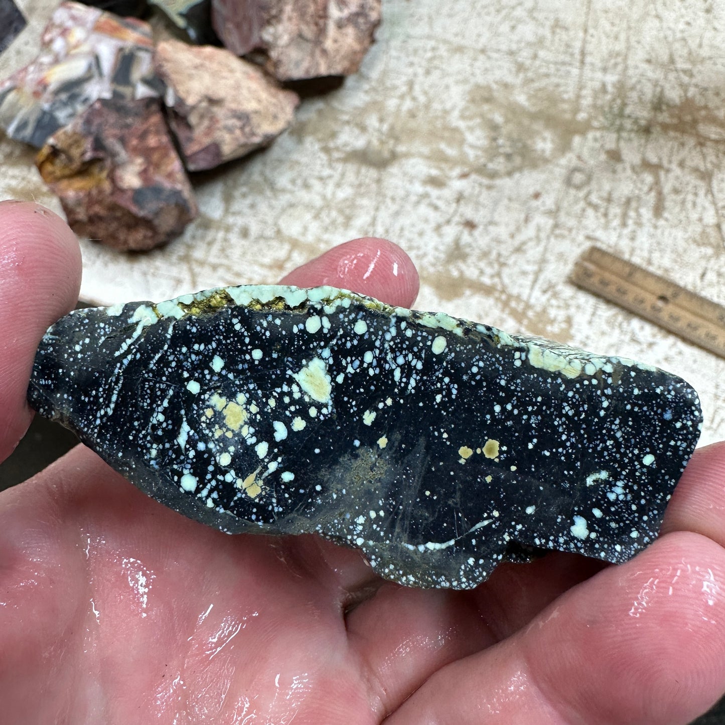 195 gram ANGELWING Variscite rough