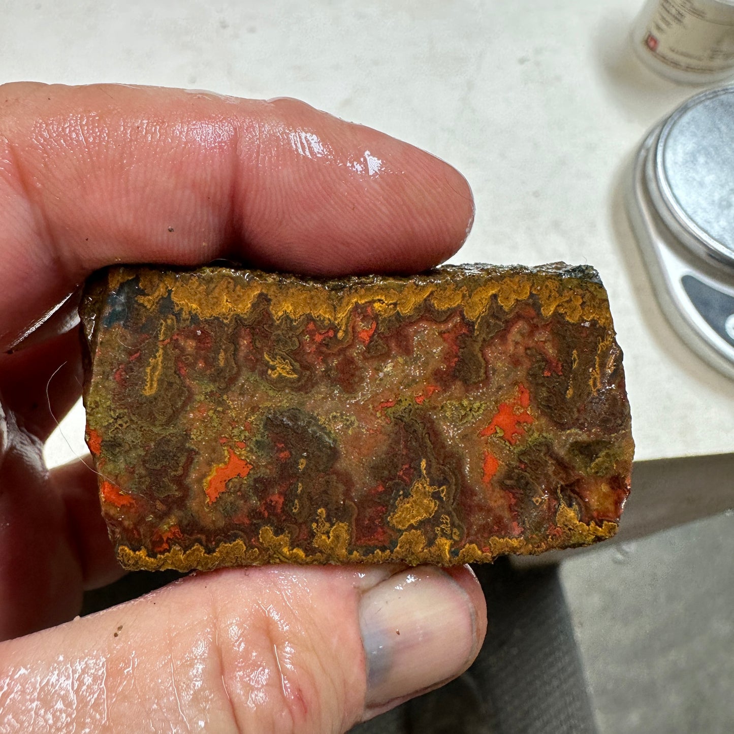 MOROCCAN SEAM AGATE Rough - 9.0ozs