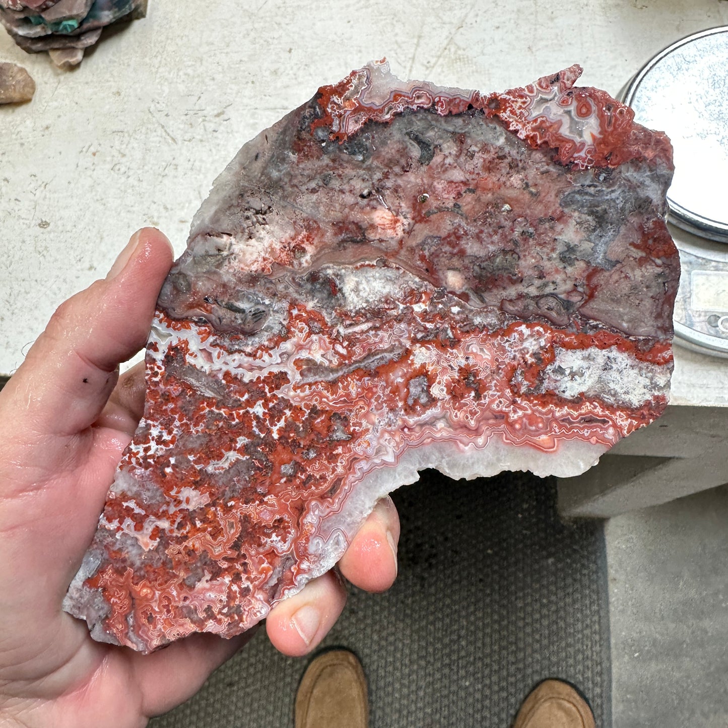 ROSETTA LACE AGATE Slab - 288 grams
