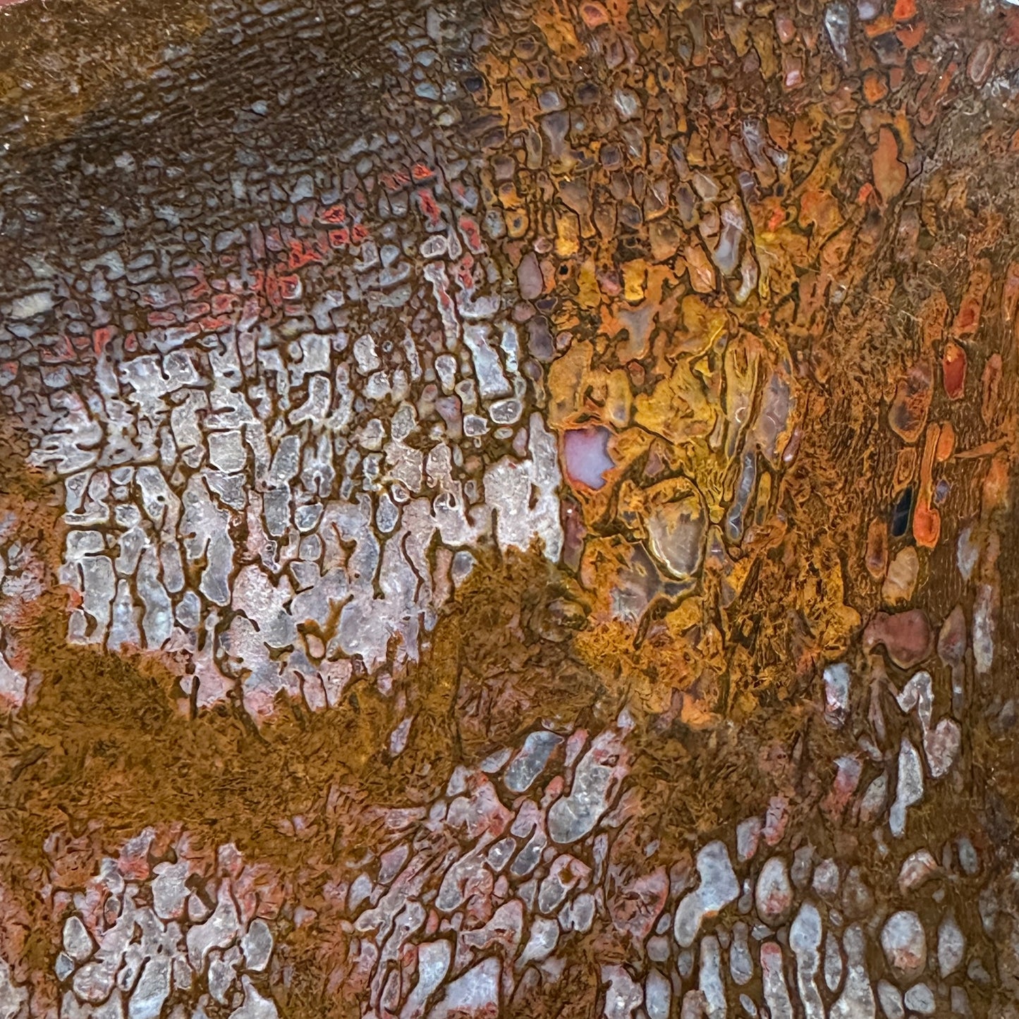 GEMBONE Dinosaur Bone Slab - 163 grams