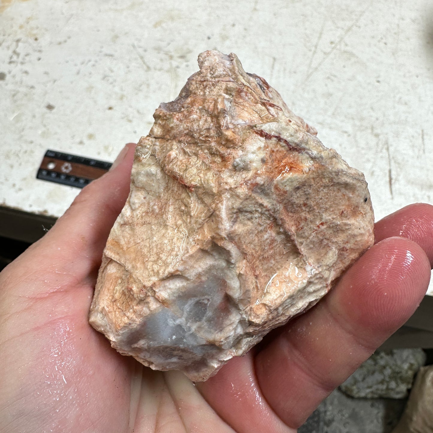 TIFFANY STONE Rough - 1.89 Pounds
