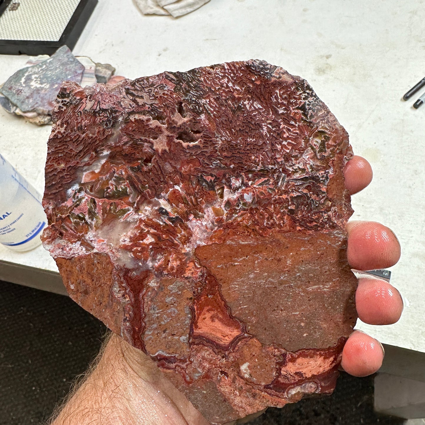 CADY MOUNTAIN AGATE Slab - 336 grams