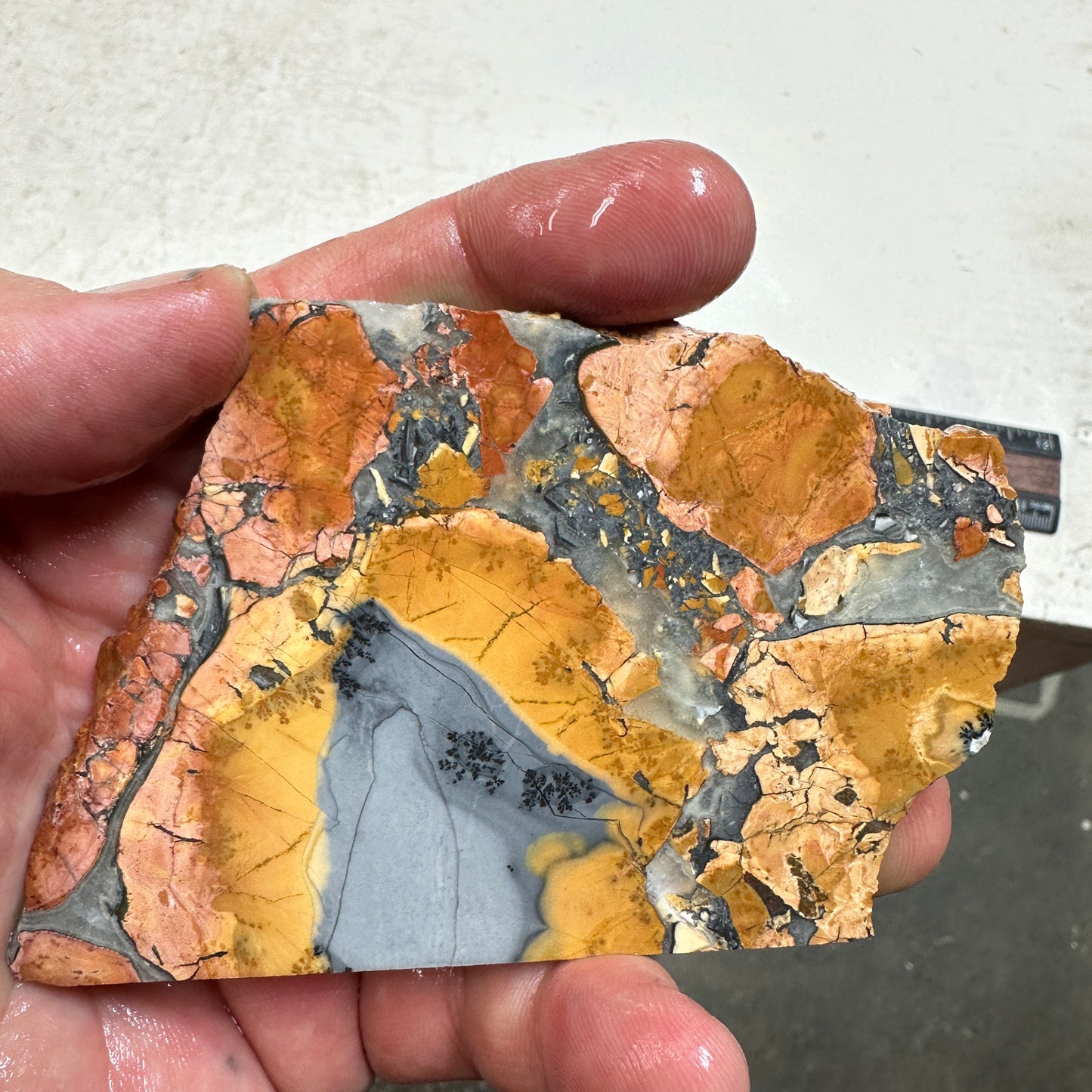 MALIGANO JASPER Slab - 108 grams