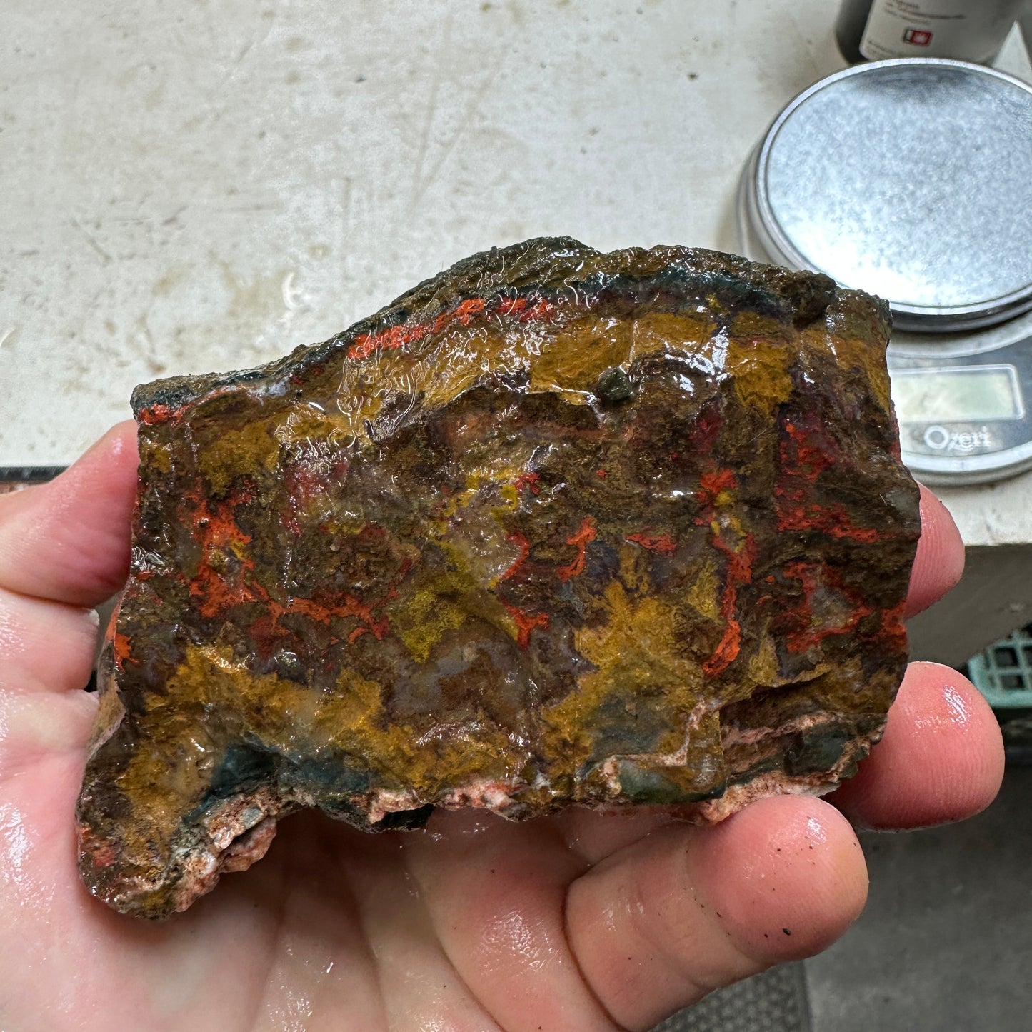 MOROCCAN SEAM AGATE Rough - 1.75 pounds