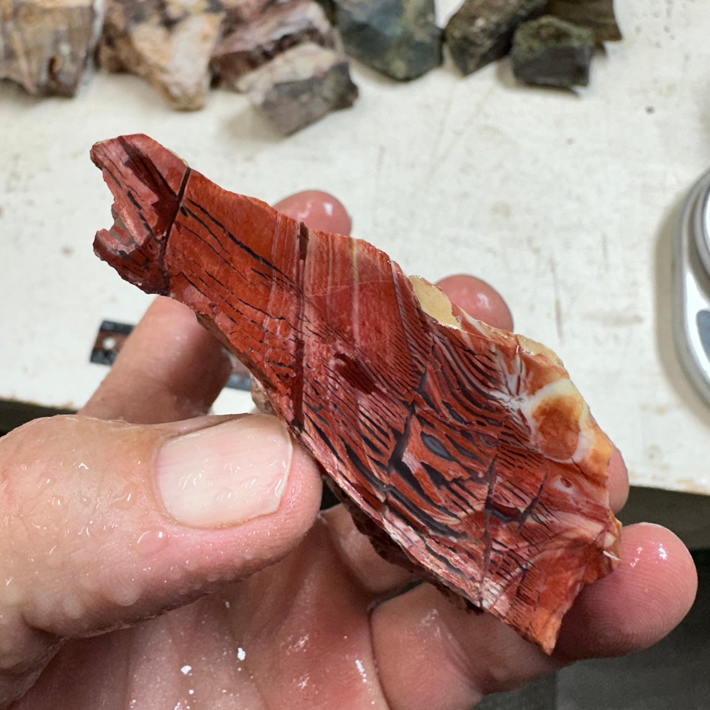 Red HOWARDITE Faced Rough - 0.46 pounds