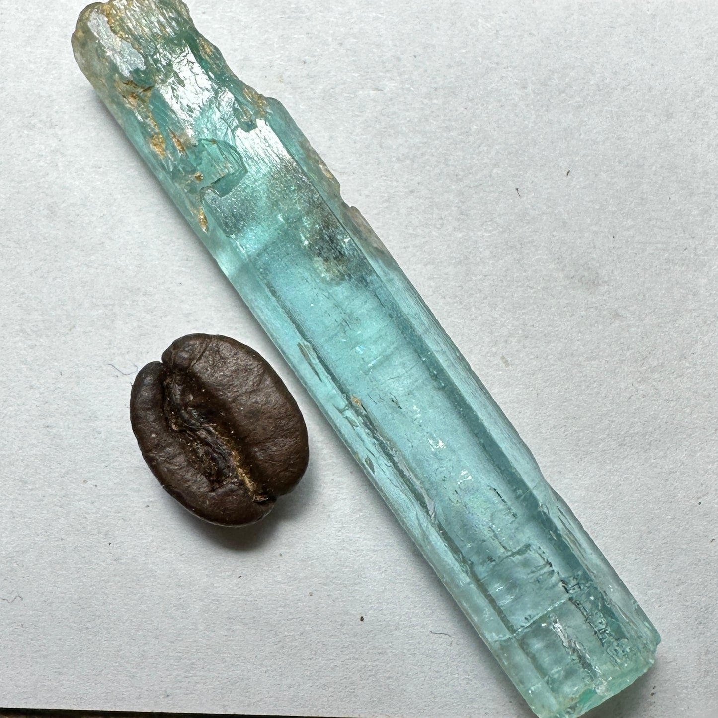 23.89ct VANADIUM BERYL Facet Rough