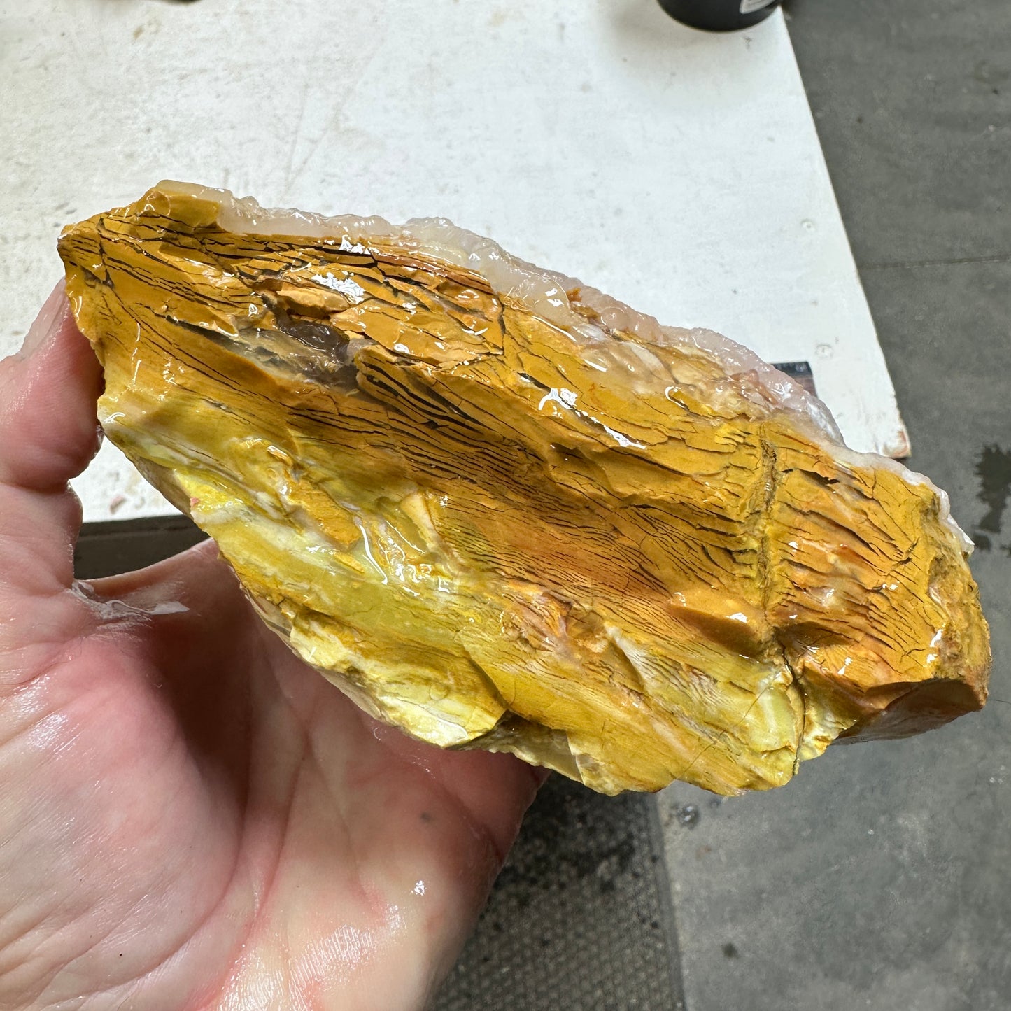 GOLDEN HOWARDITE Faced Rough - 2.58 Pounds