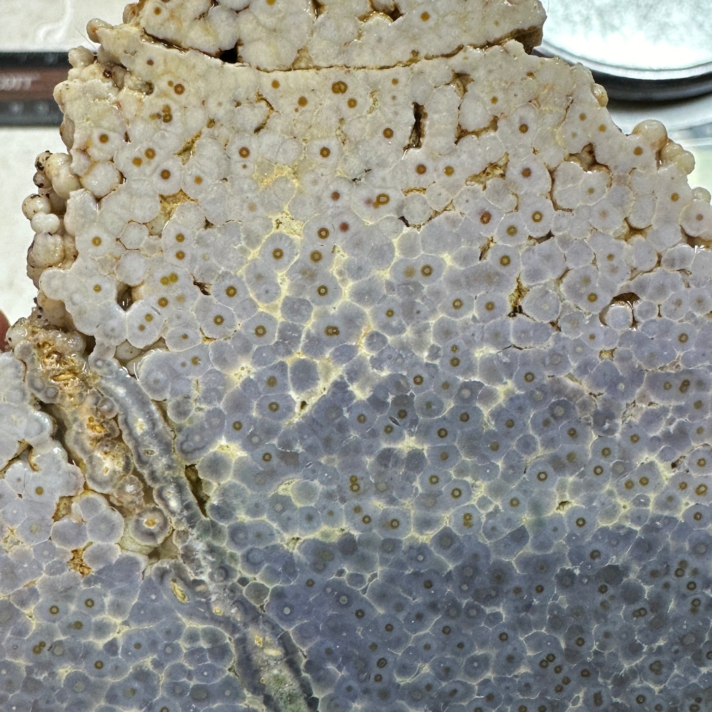 GRAPE AGATE Faced Rough - 3.68 Pounds