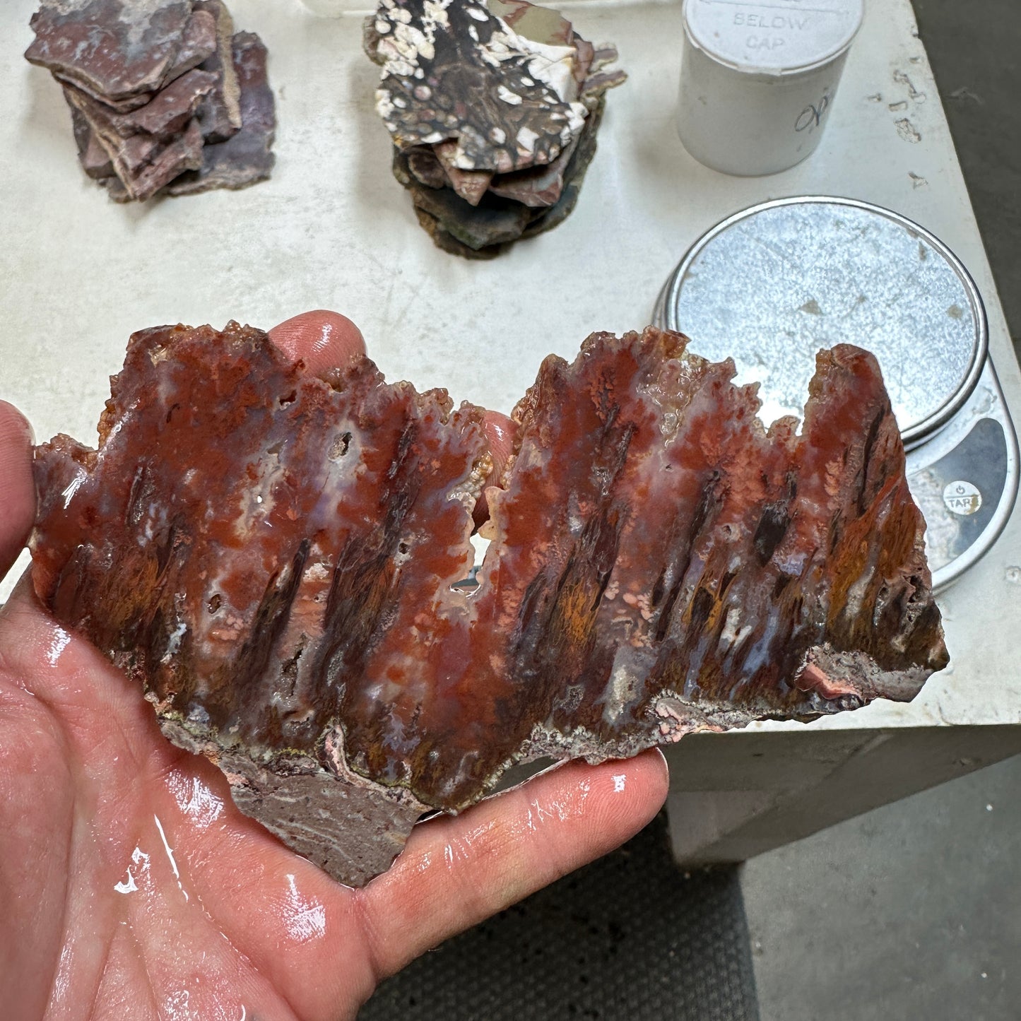 SICAT PLUME AGATE Slab - 156 grams