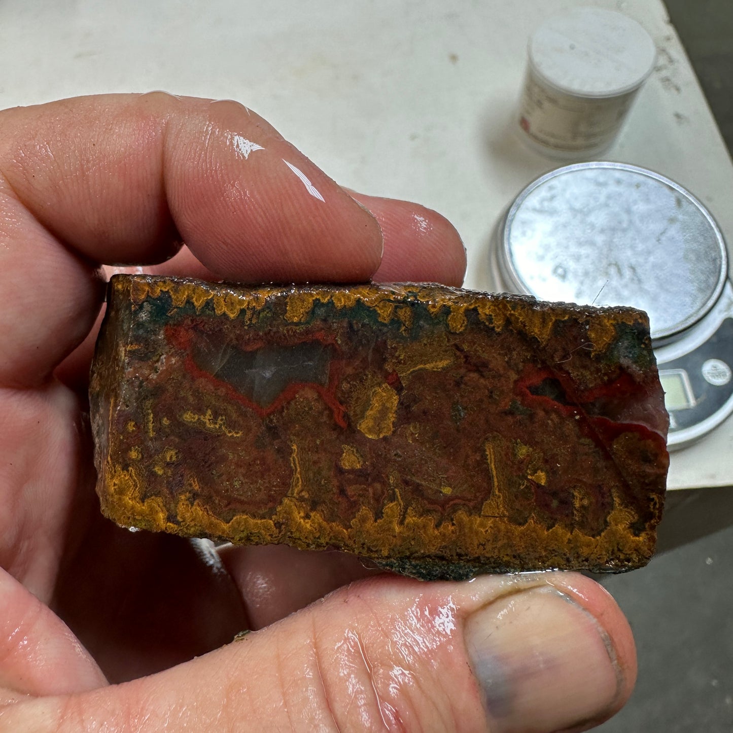 MOROCCAN SEAM AGATE Rough - 10.7ozs