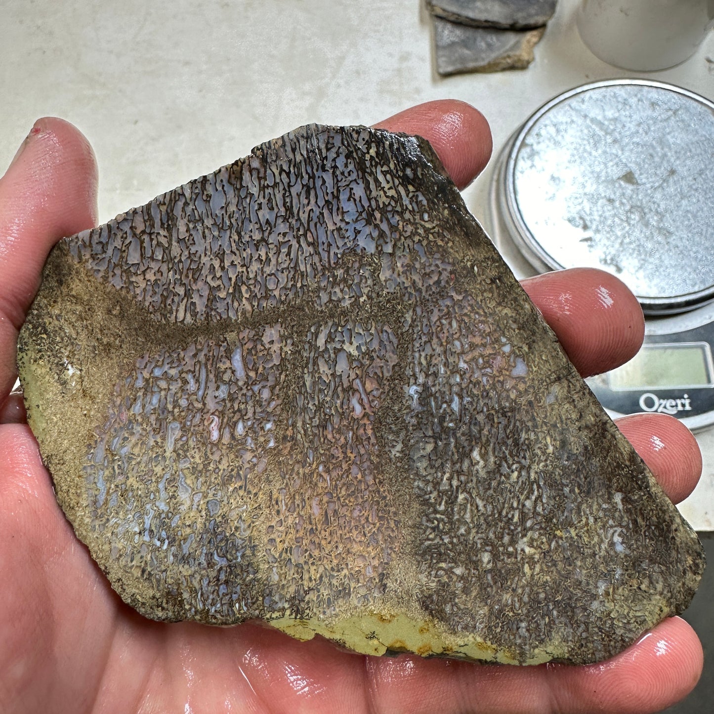 GEMBONE Dinosaur Bone Slab - 129 grams