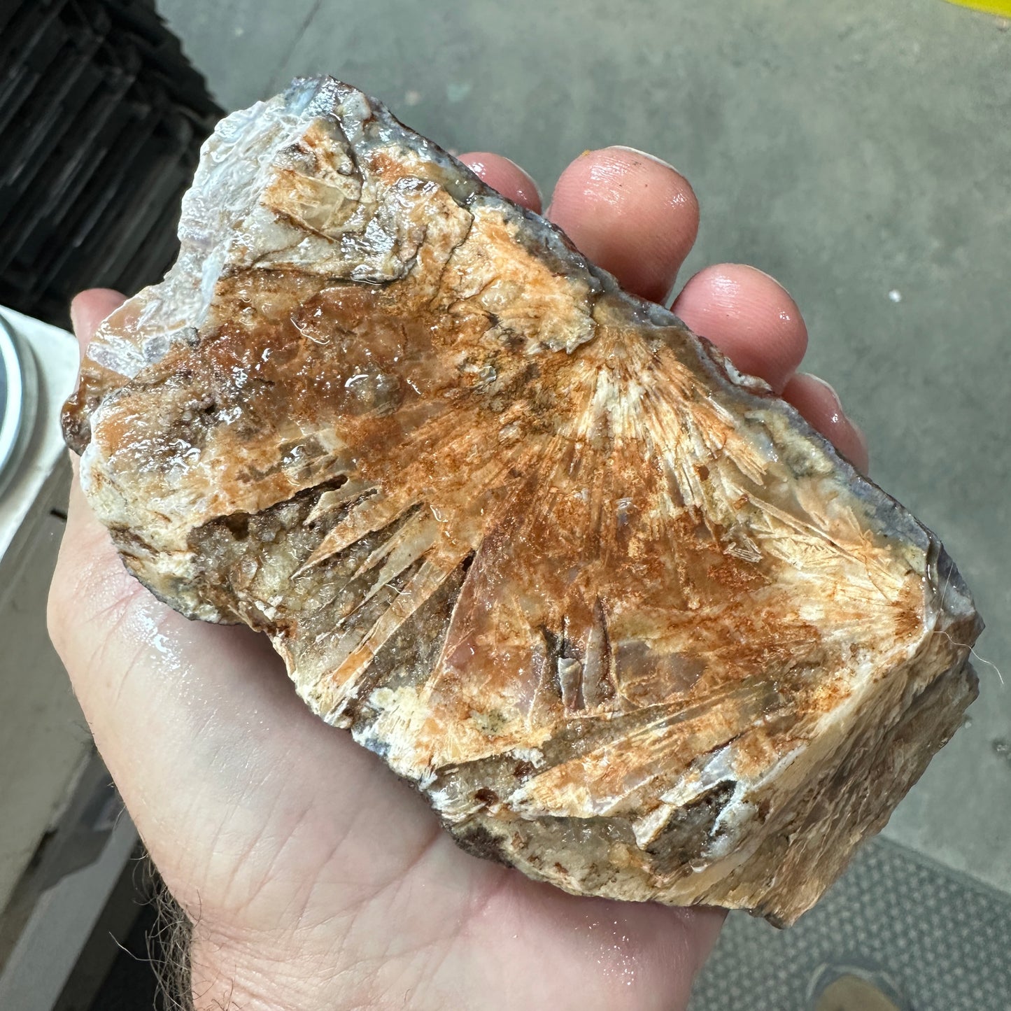 MOROCCAN STICK AGATE Faced Rough - 1.60 Pounds