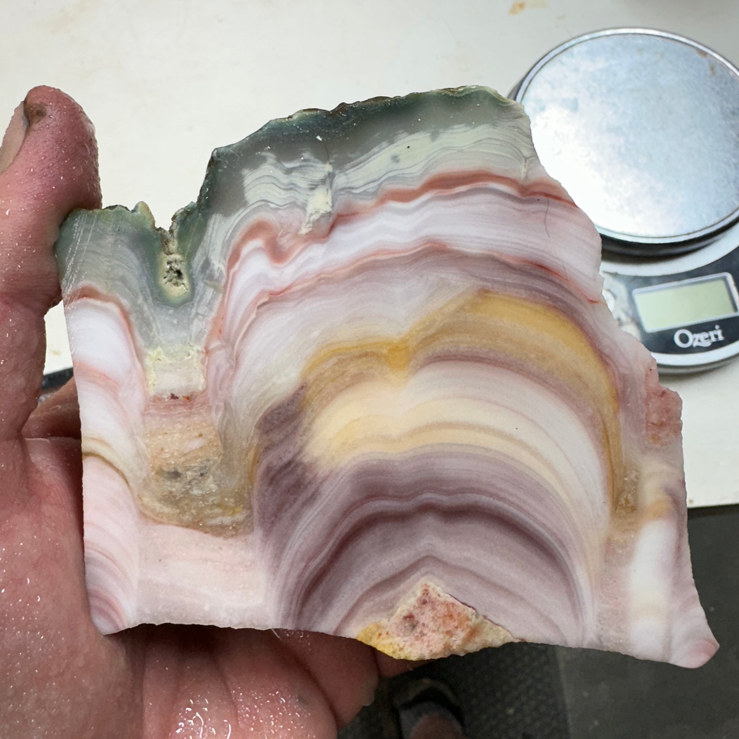 WINDY MOUNTAIN AGATE Faced Rough - 1.48 Pounds