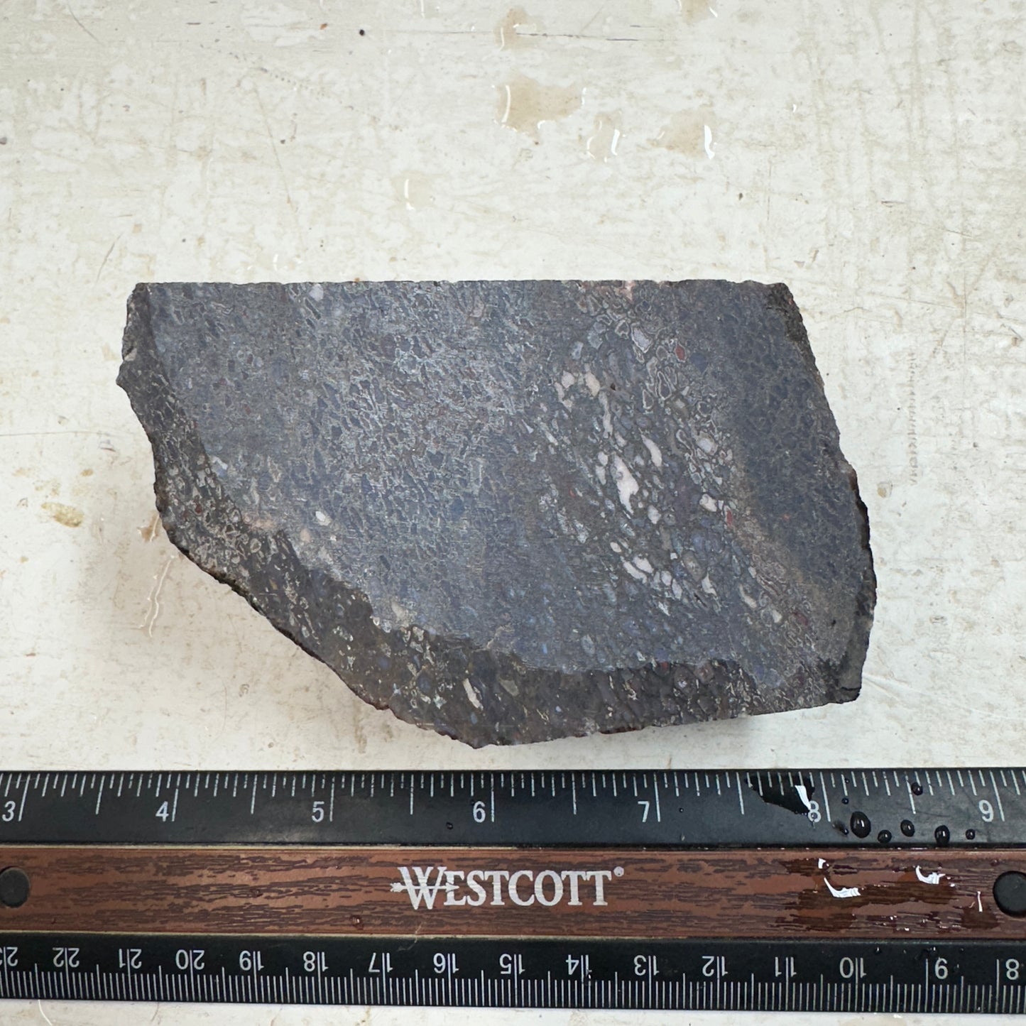 GEMBONE Dinosaur Bone Faced Rough - 0.86 Pounds