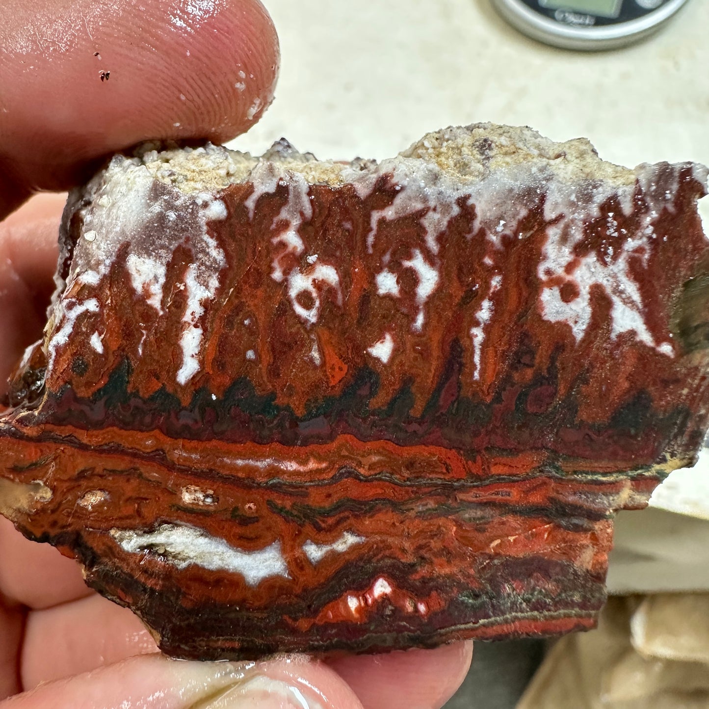 IDAHO WILDFIRE PLUME AGATE Faced Rough - 4.34oz