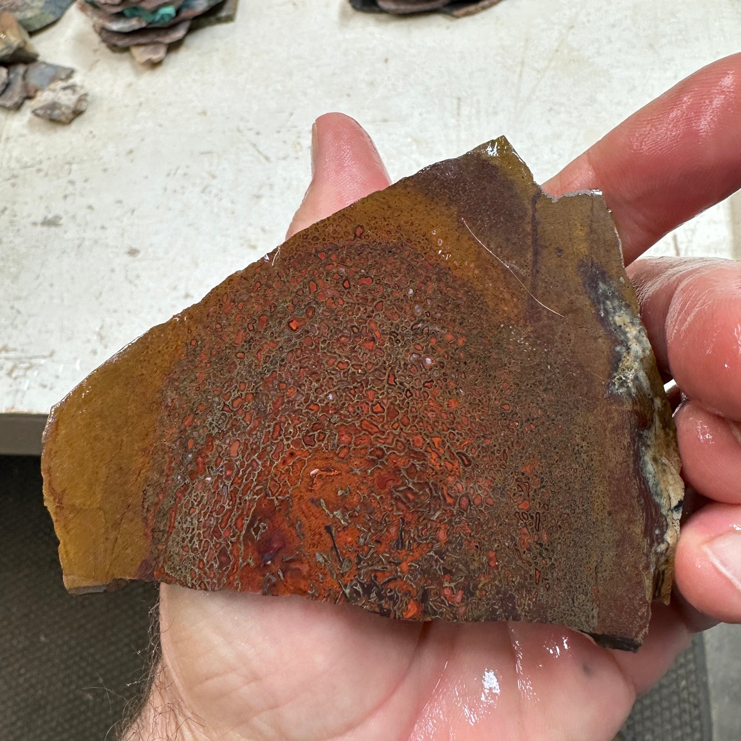 GEMBONE Dinosaur Bone Slab - 103 grams