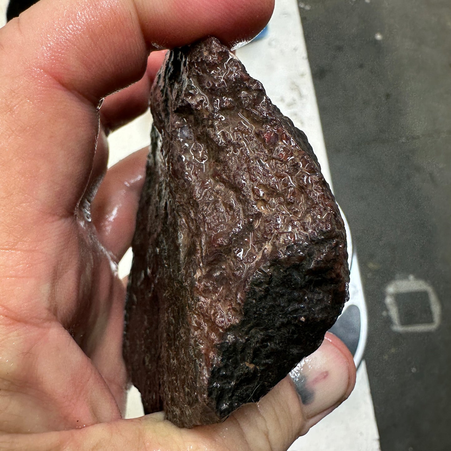 GEMBONE Dinosaur Bone Faced Rough - 1.41 Pounds