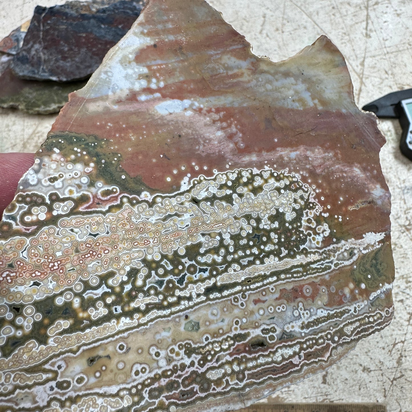 OCEAN JASPER Slab - 234 grams