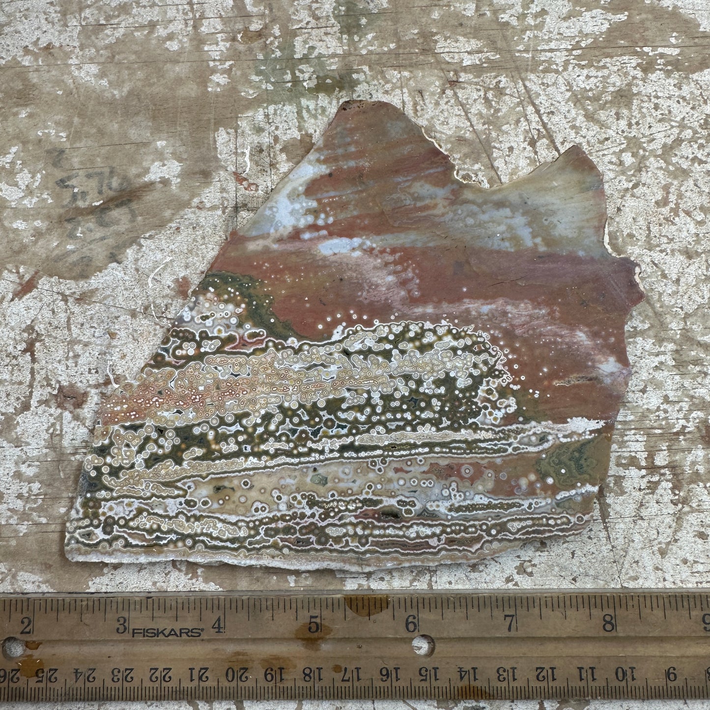 OCEAN JASPER Slab - 234 grams