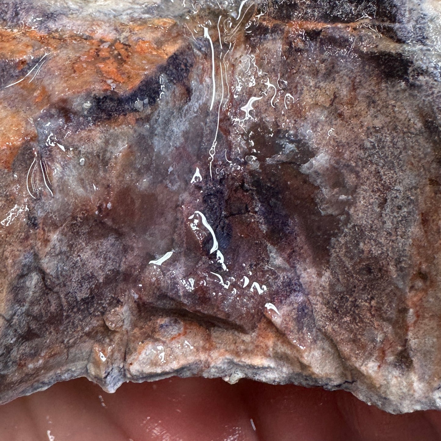 TIFFANY STONE Rough - 1.21 Pounds