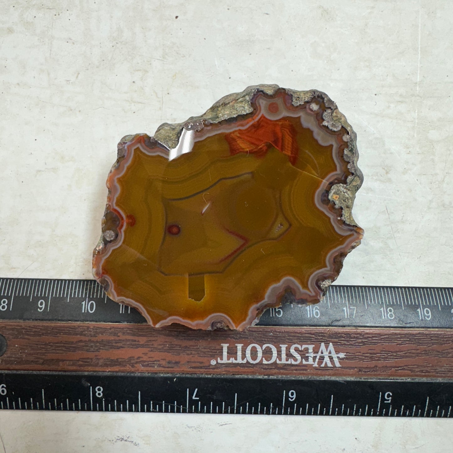 CONDOR AGATE Polished Specimen