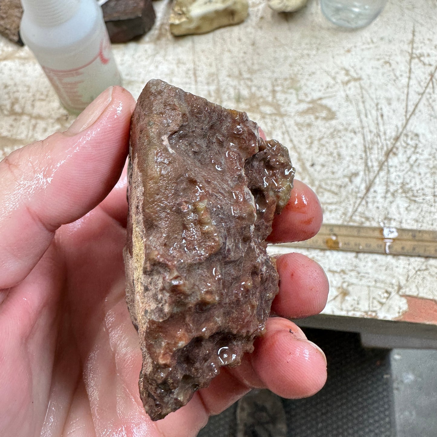 MOROCCAN AGATE Rough - 0.68 Pounds