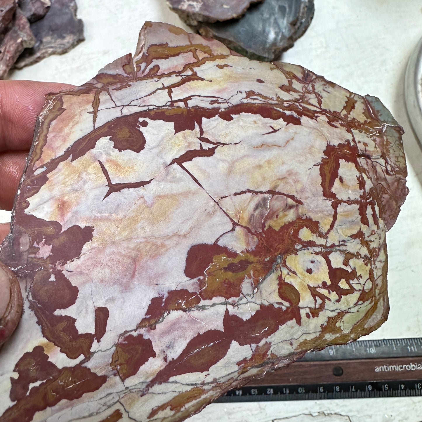 DEAD CAMEL JASPER Slab - 222 grams