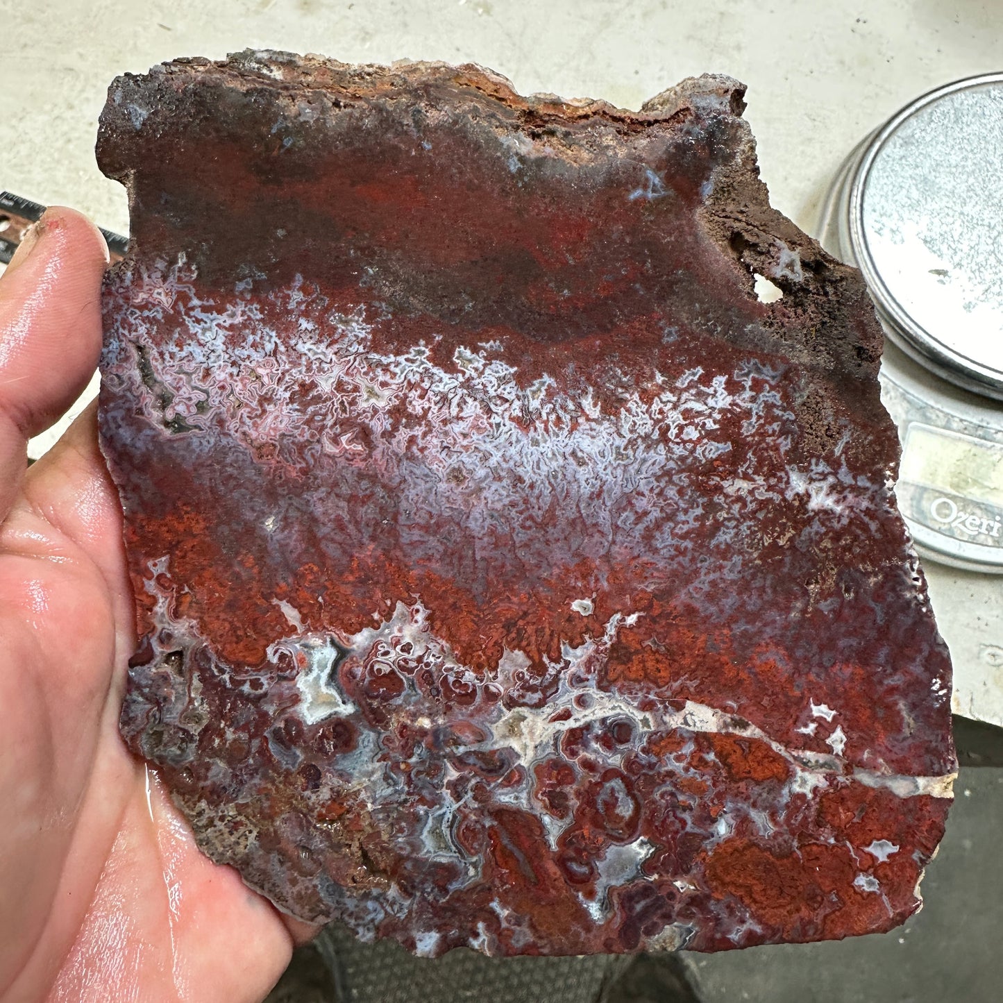 CADY MOUNTAIN AGATE Slab - 304 grams