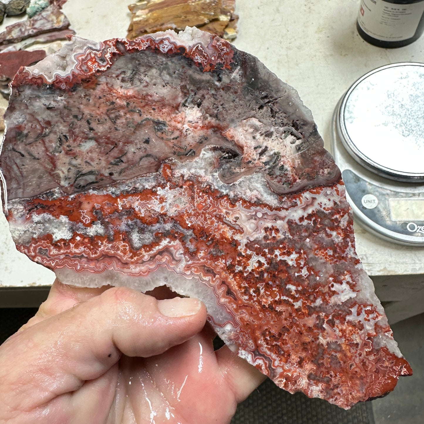 ROSETTA LACE AGATE Slab - 288 grams