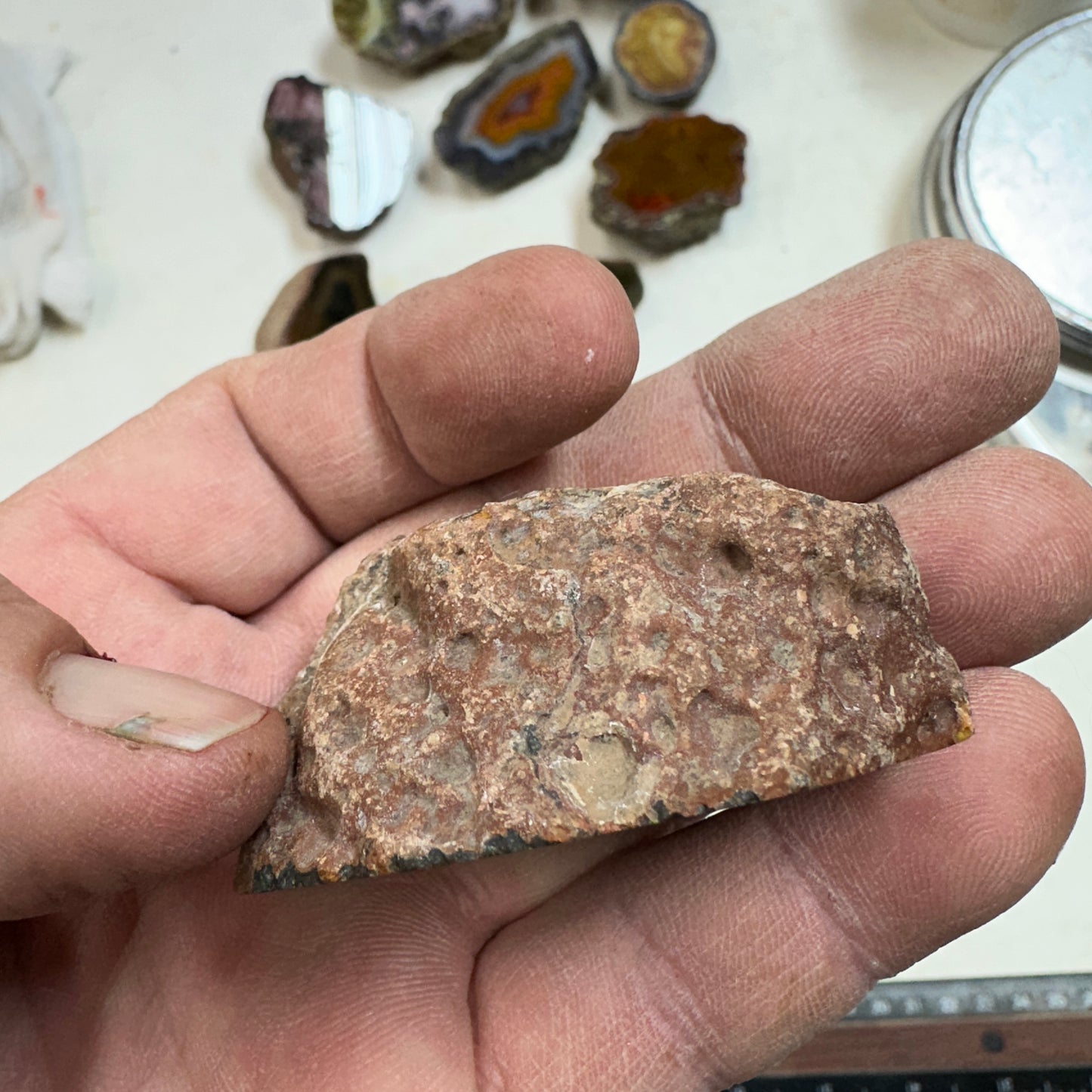 CONDOR AGATE Polished Specimen