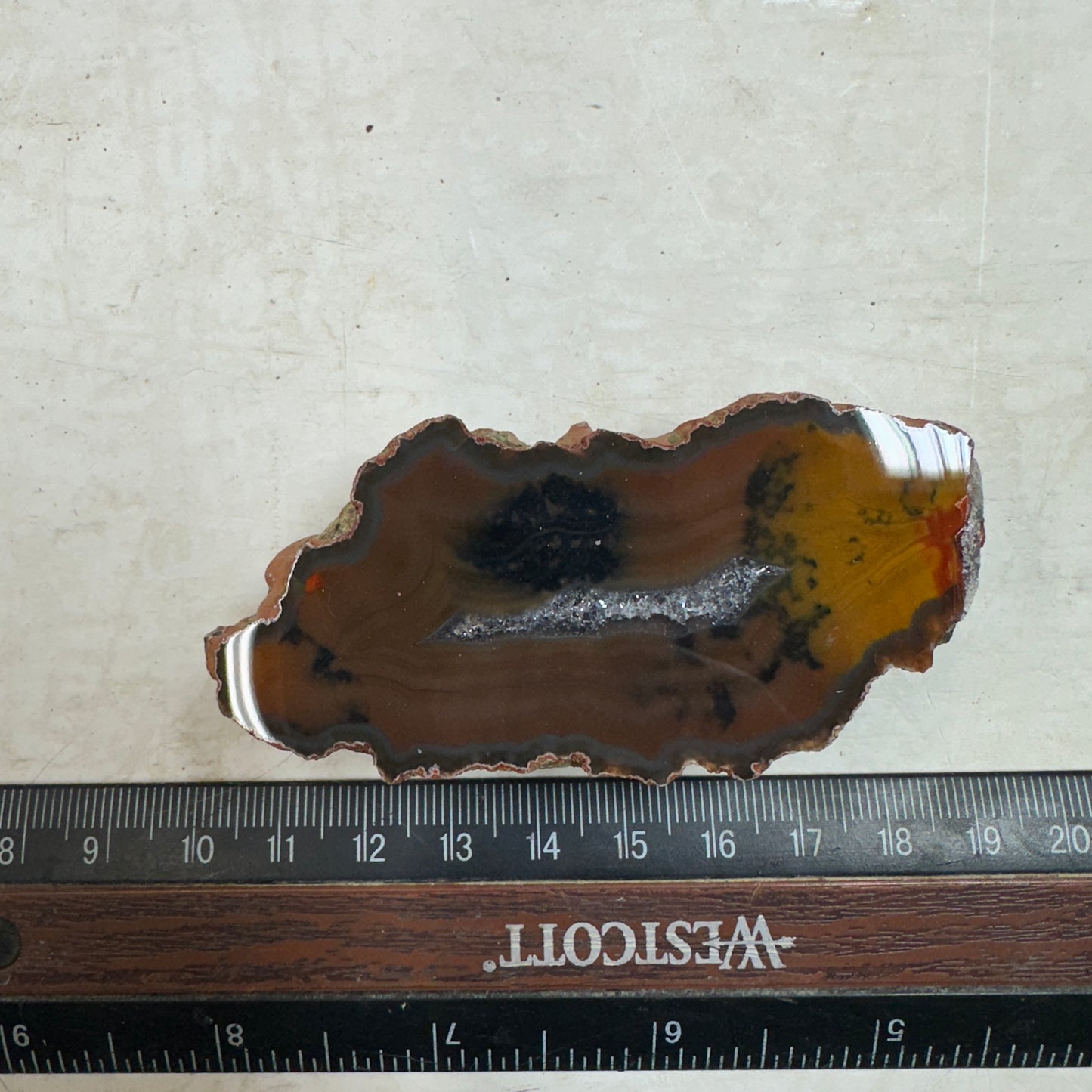 CONDOR AGATE Polished Specimen