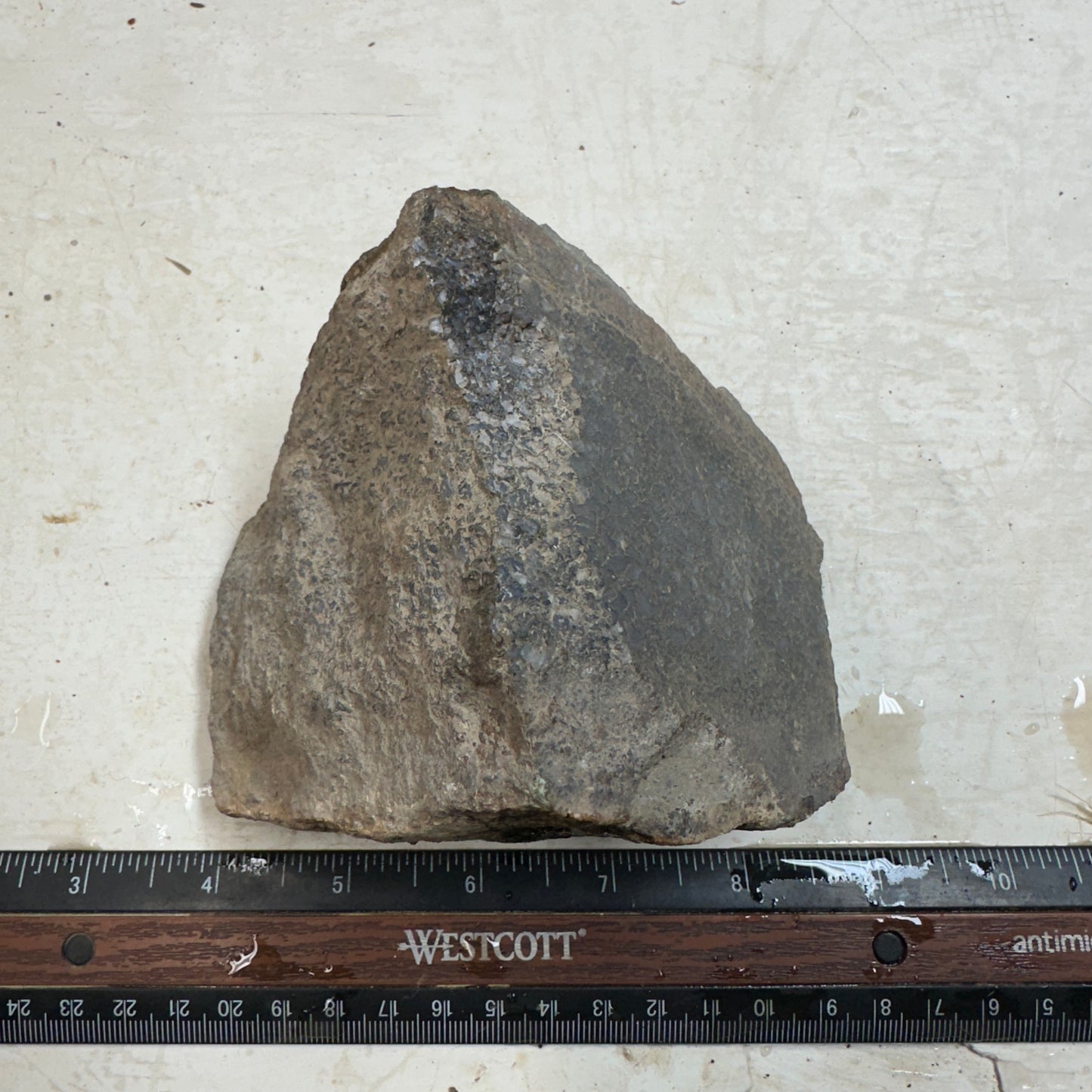 GEMBONE Dinosaur Bone Faced Rough - 2.09 Pounds