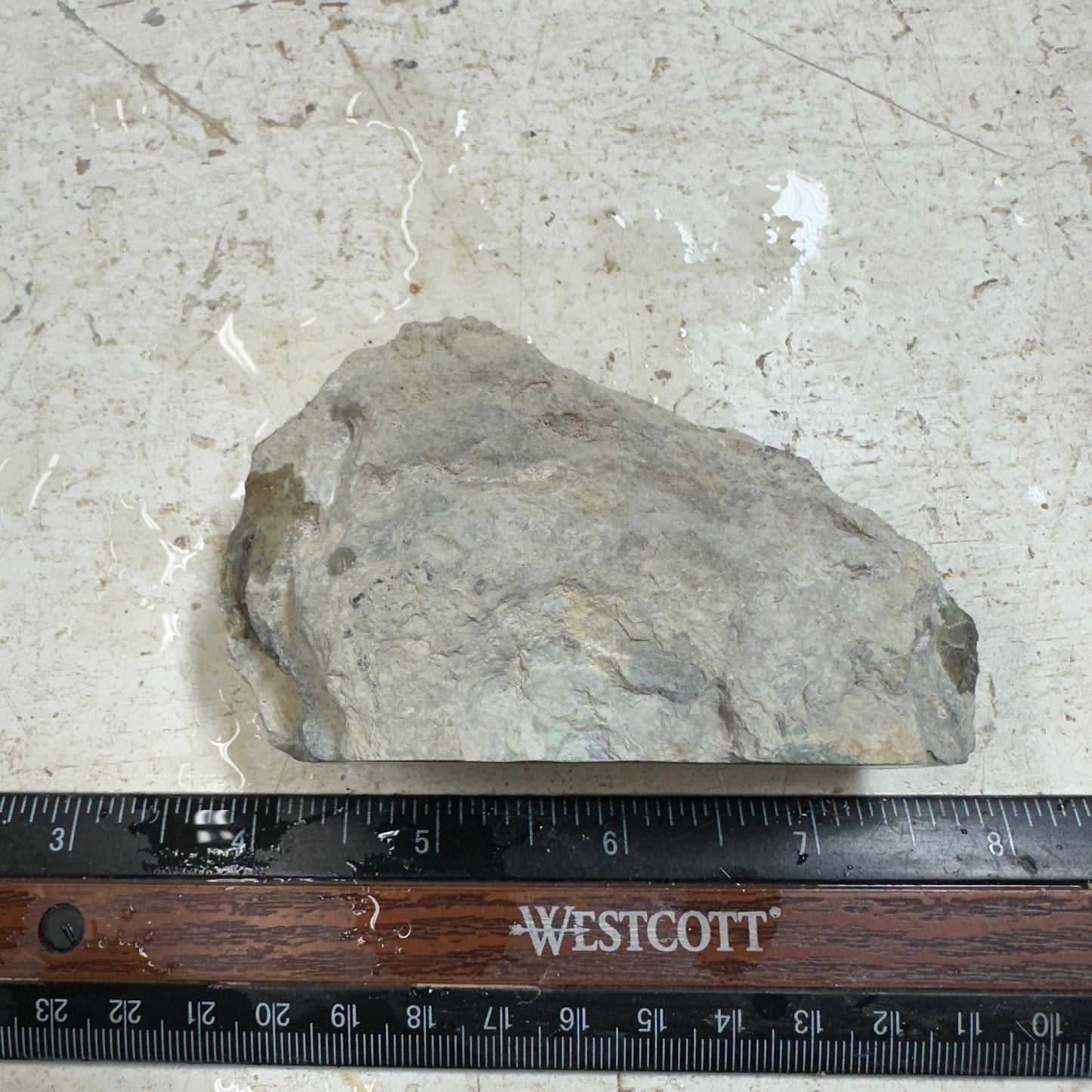 BROKEN ARROW VARISCITE Rough - 228 grams