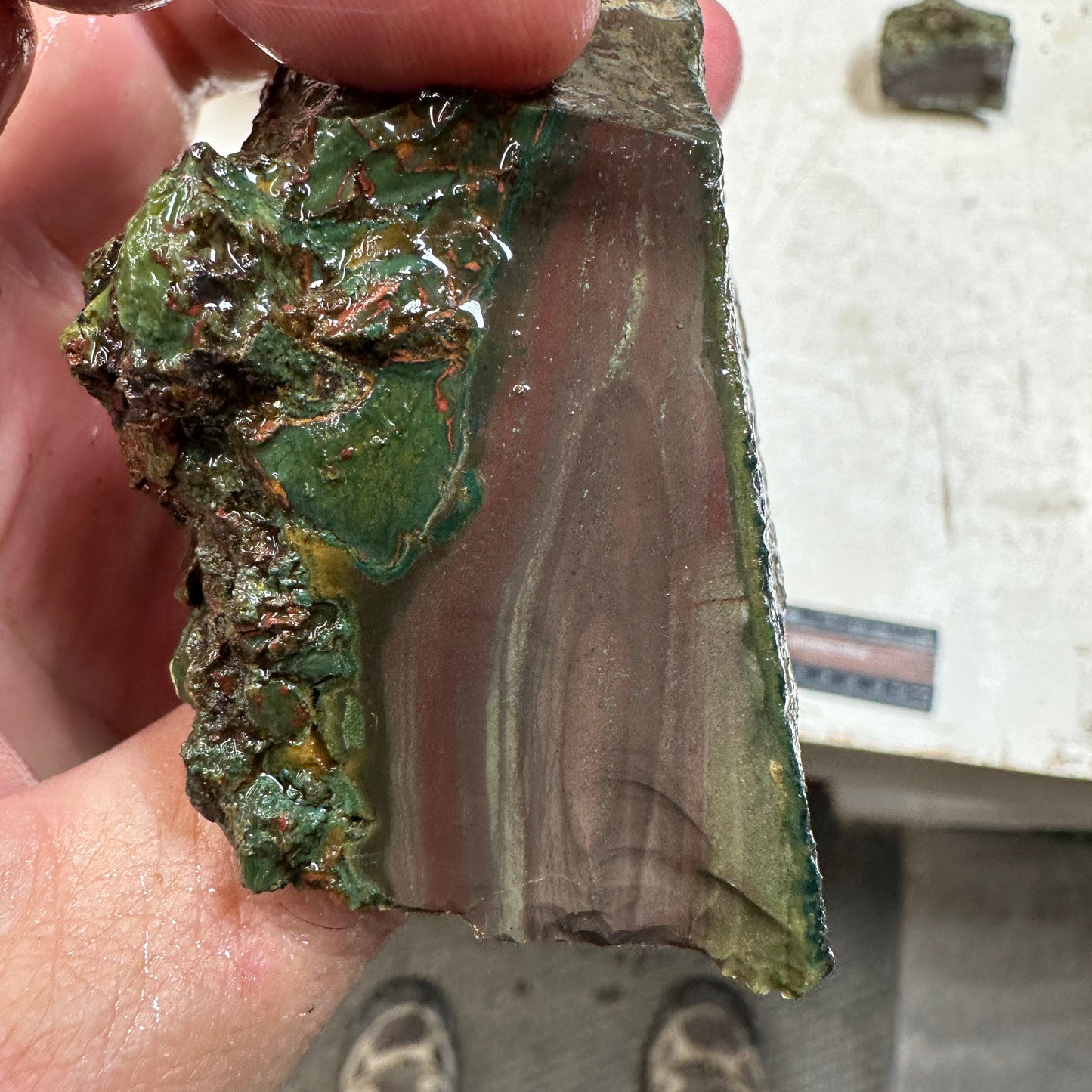 Orbed ECHO RIDGE JASPER Rough - 0.42 Pounds