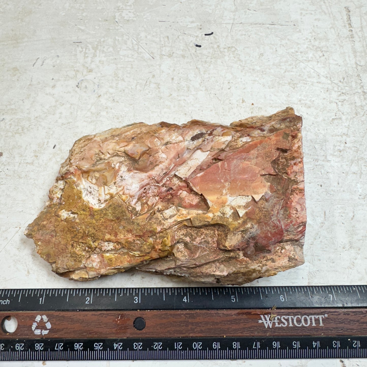 Red HOWARDITE Faced Rough - 17.0ozs