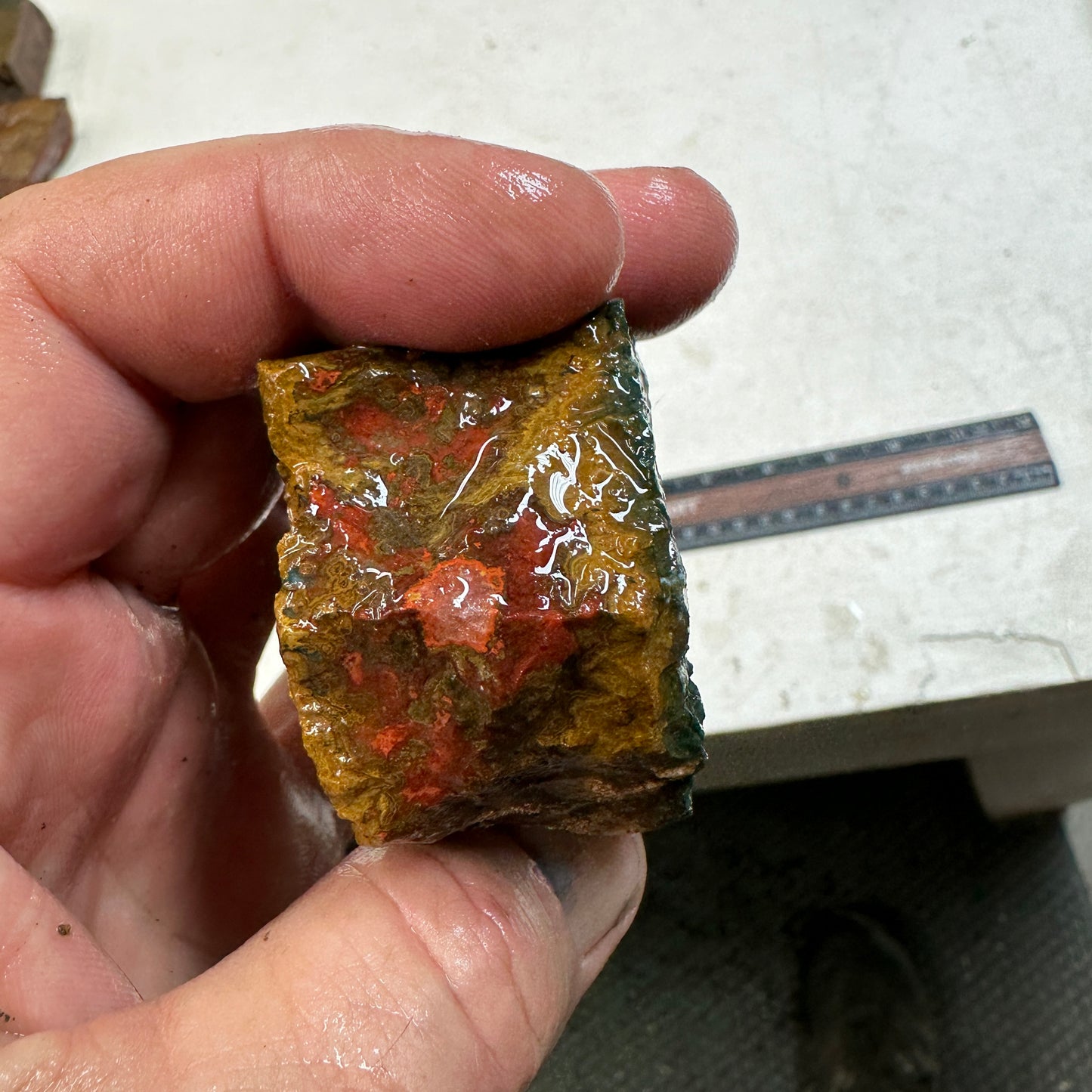 MOROCCAN SEAM AGATE Rough - 10.5ozs