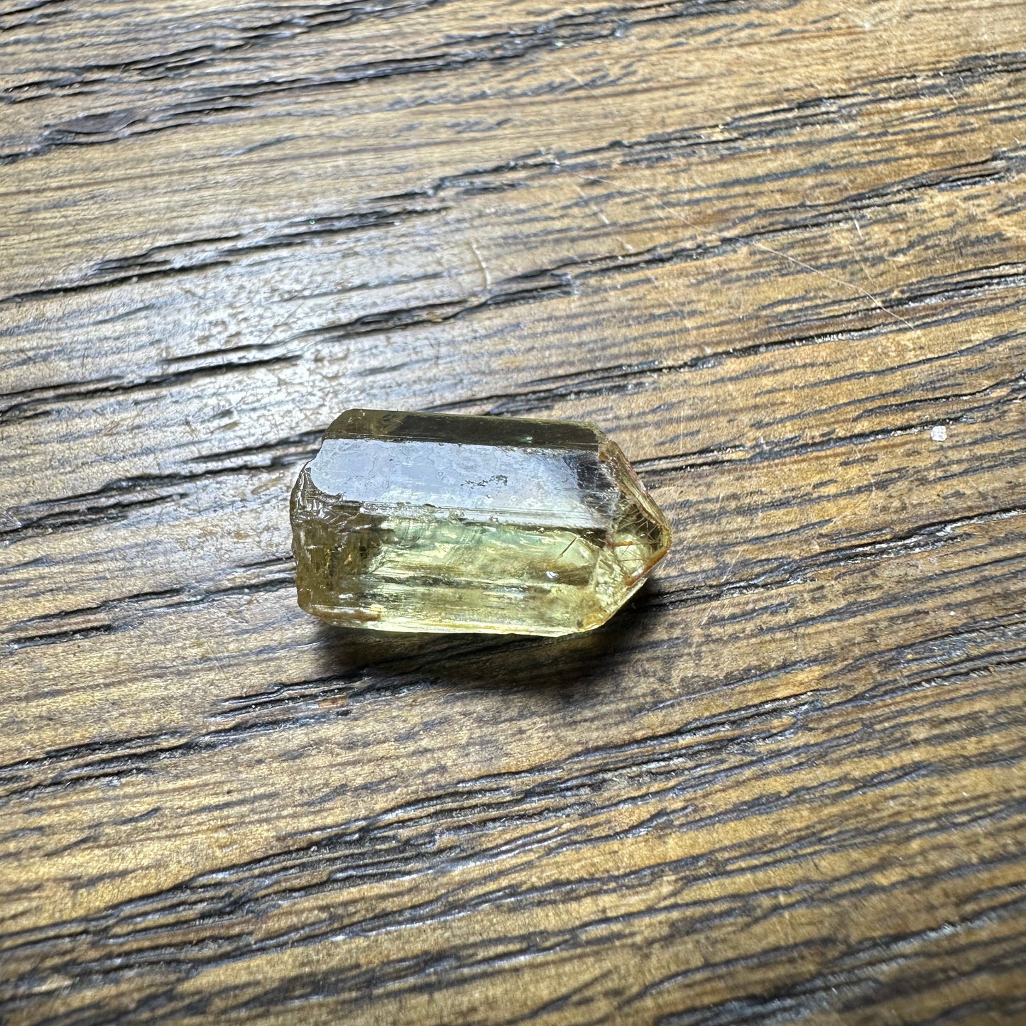 9.8ct YELLOW APATITE Facet Rough