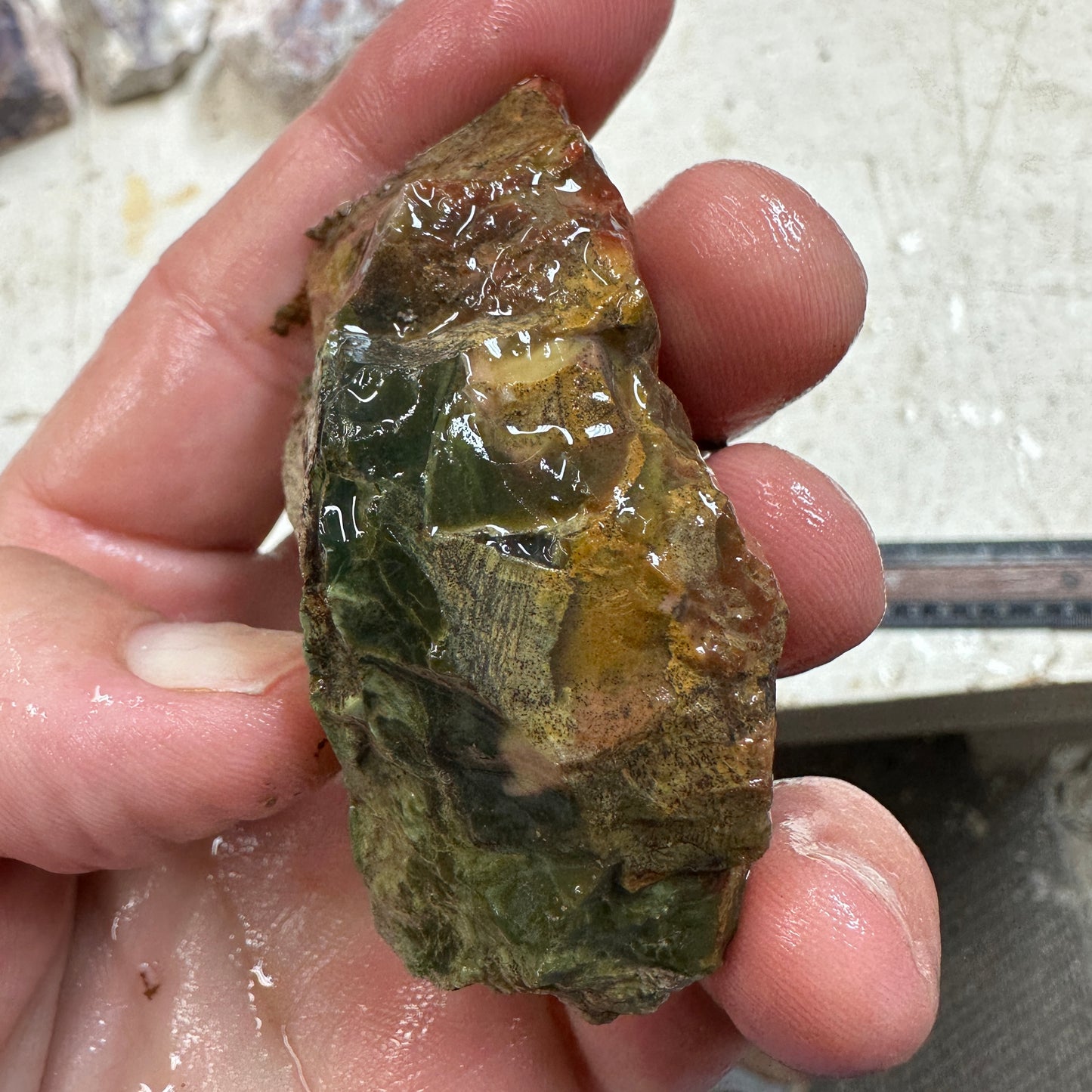 MORRISONITE JASPER Faced Rough - 0.32 Pounds