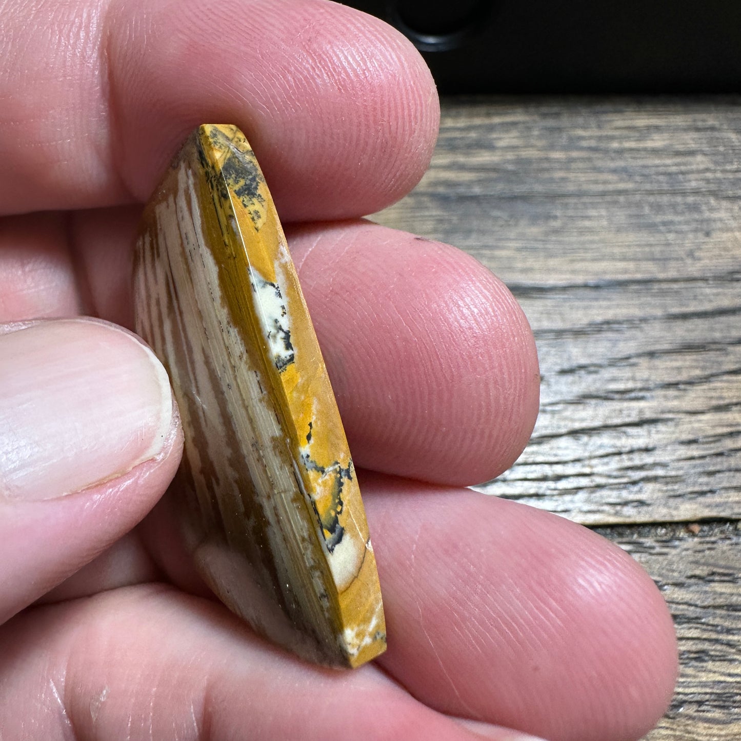 OWYHEE JASPER cabochon