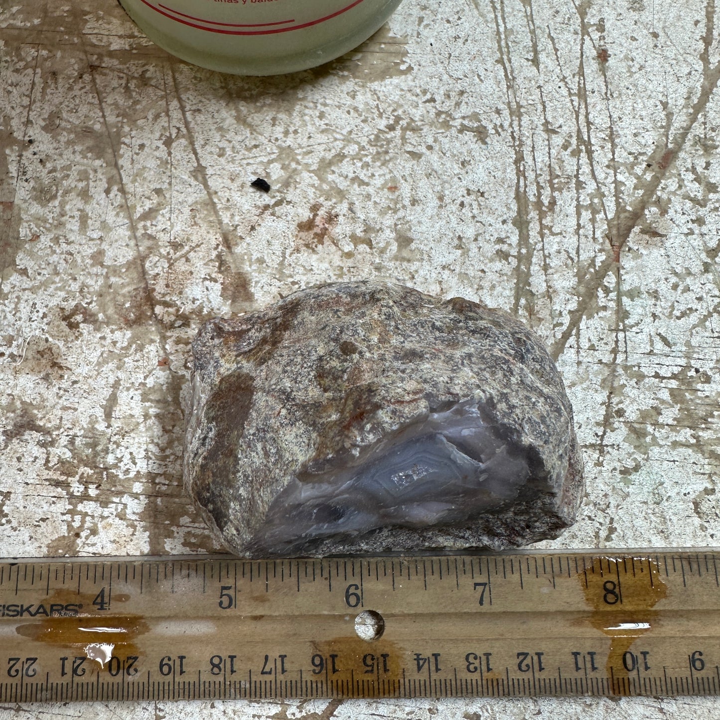 Alianza Claim LAGUNA AGATE Rough - 0.45 Pounds