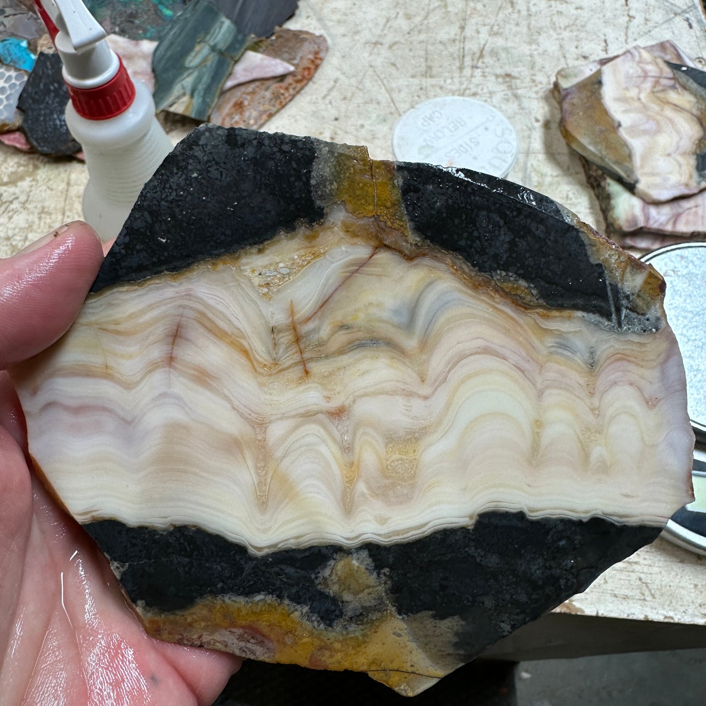 WINDY MOUNTAIN JASPER Slab - 255 grams