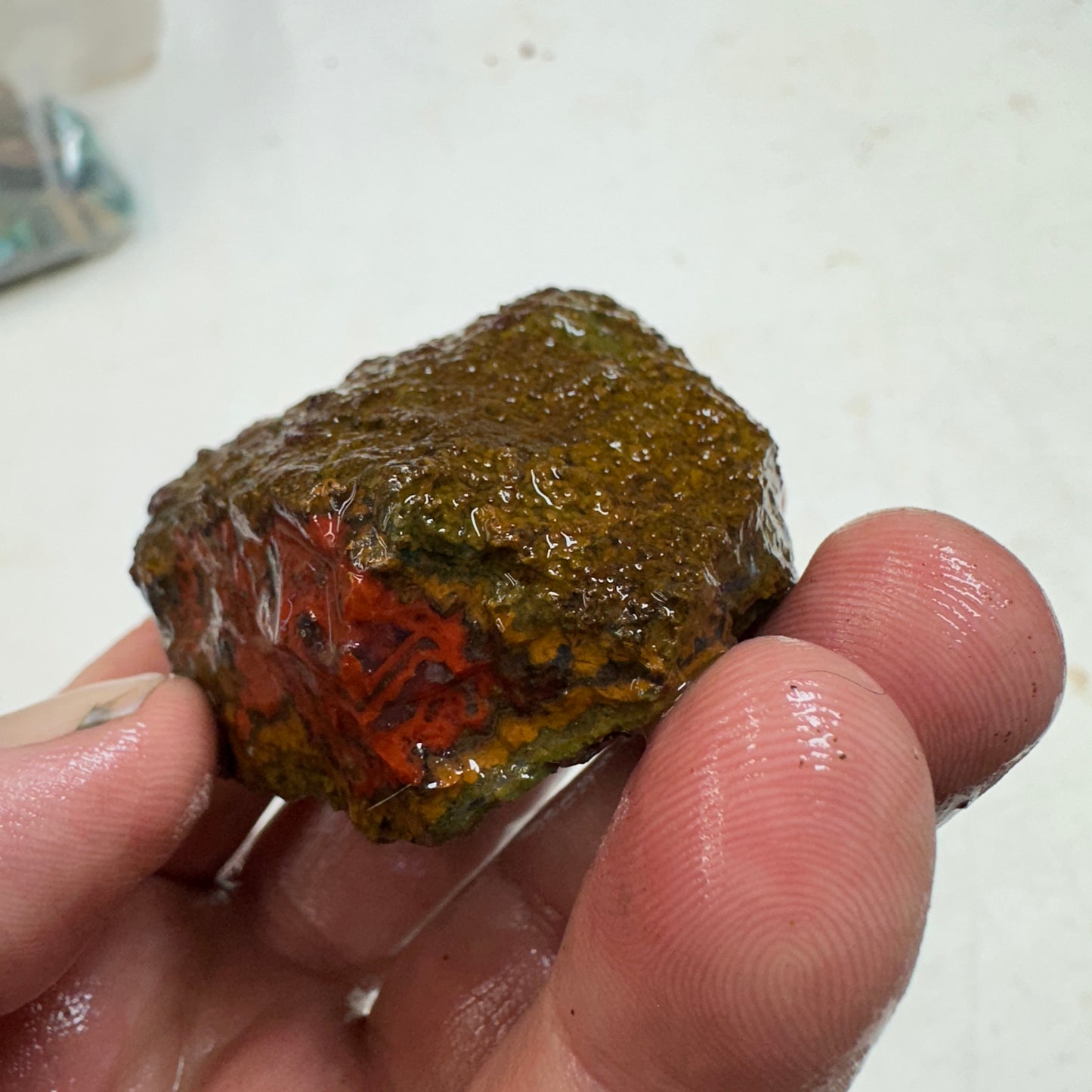 MOROCCAN SEAM AGATE Rough - 0.32 Pounds