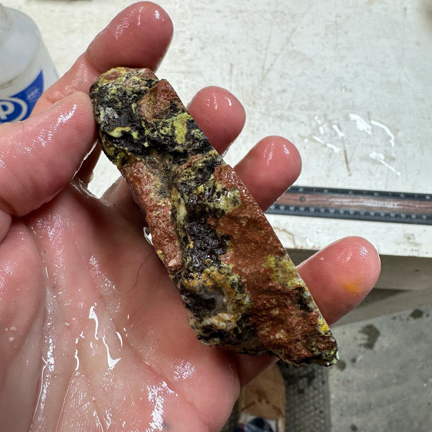 AGUA NUEVA AGATE Rough - 0.51 Pounds