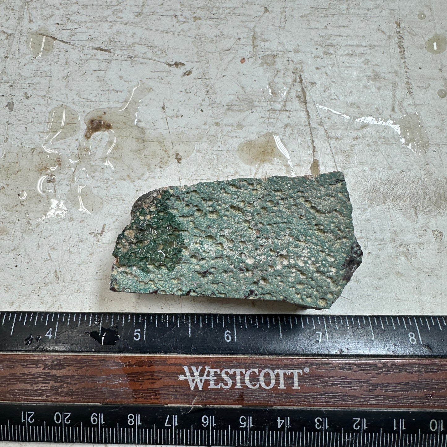 IDAHO WILDFIRE PLUME AGATE Faced Rough - 3.14oz