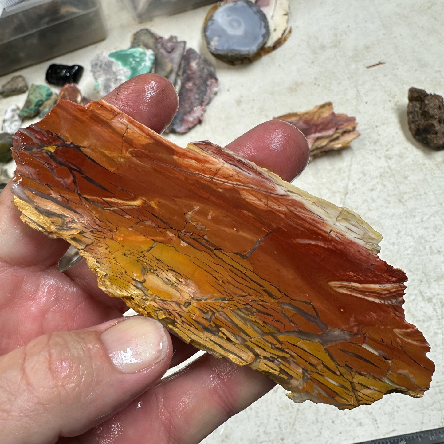 SUNSET HOWARDITE Slab - 70 grams