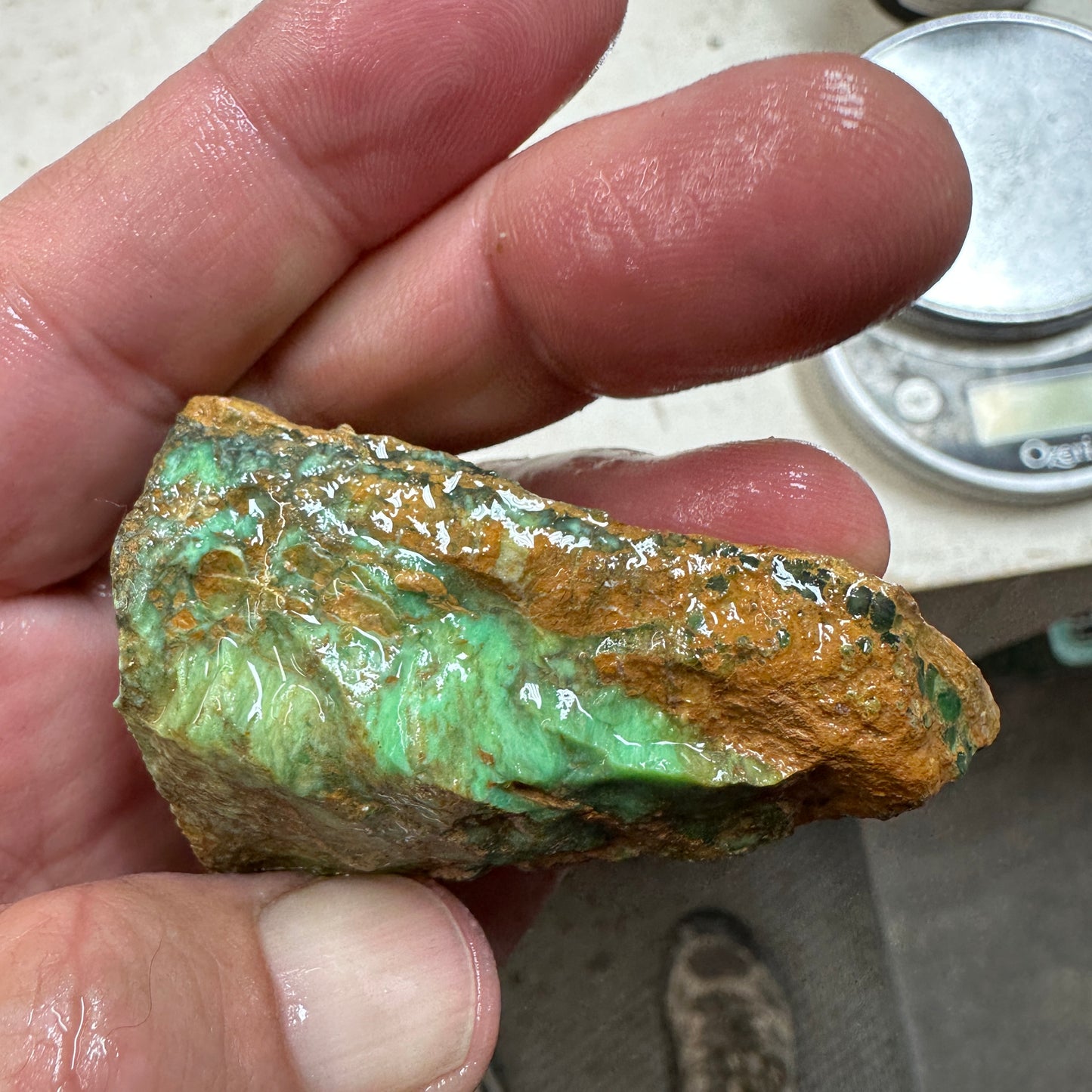 AUSTRALIAN VARISCITE Faced Rough - 77.1 grams