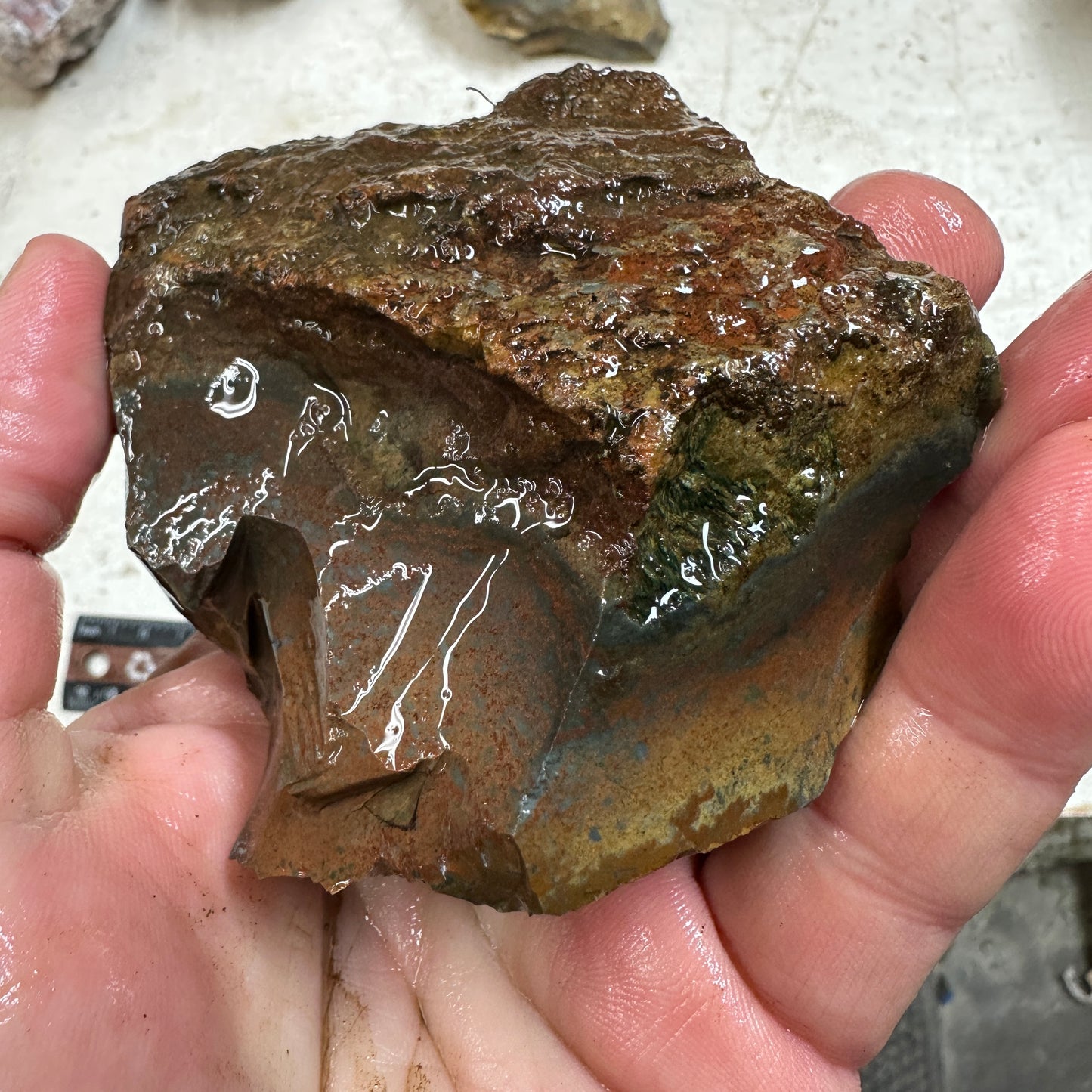 ECHO RIDGE JASPER Rough - 0.90 Pounds