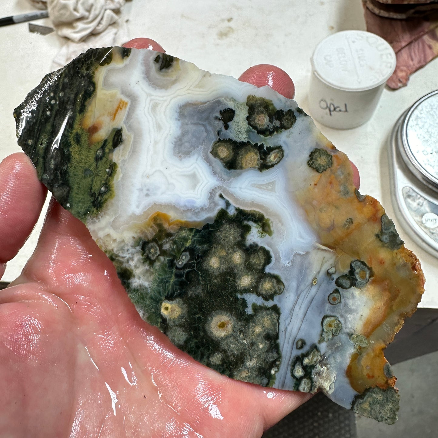 OCEAN JASPER Slab - 153 grams