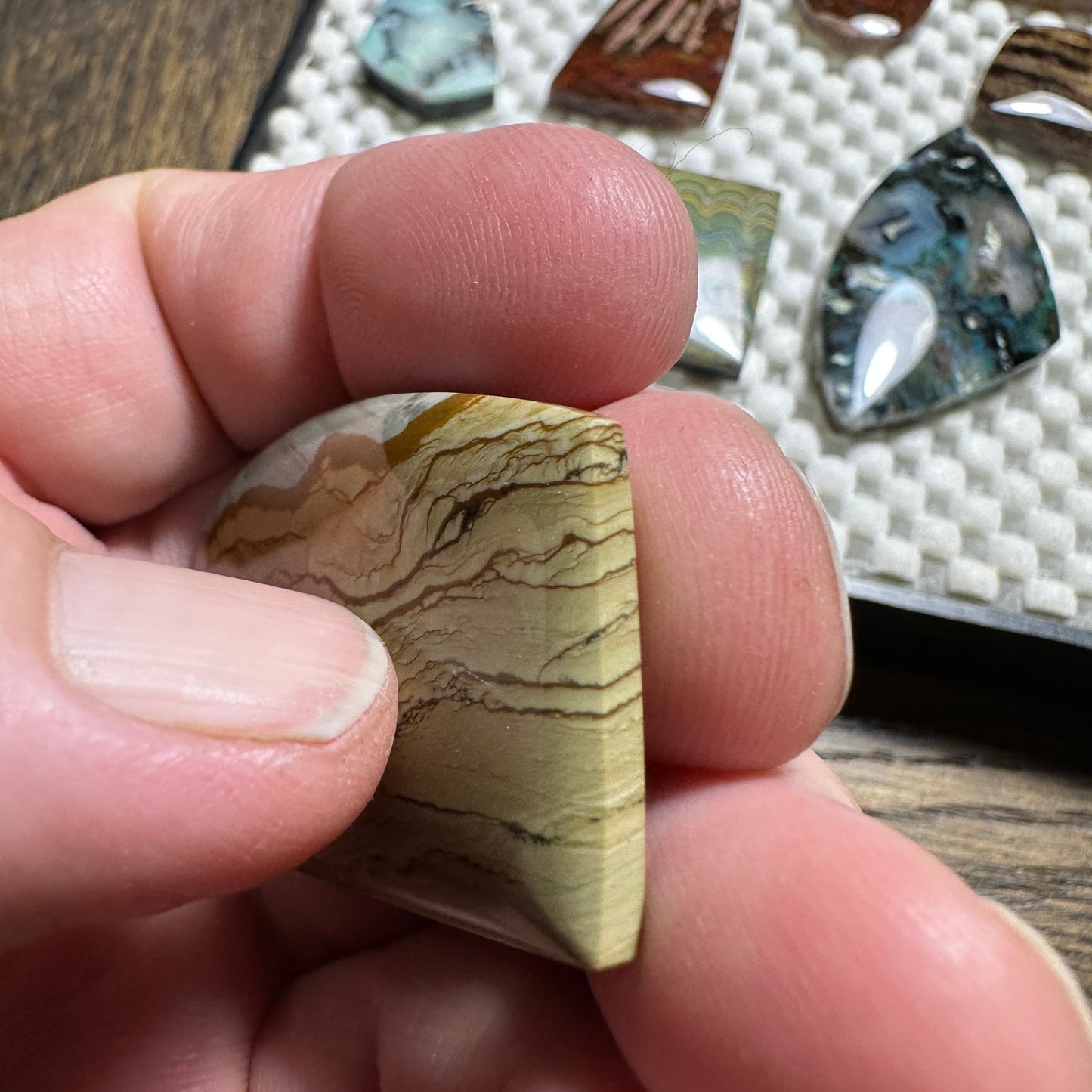 BIG HORN JASPER cabochon